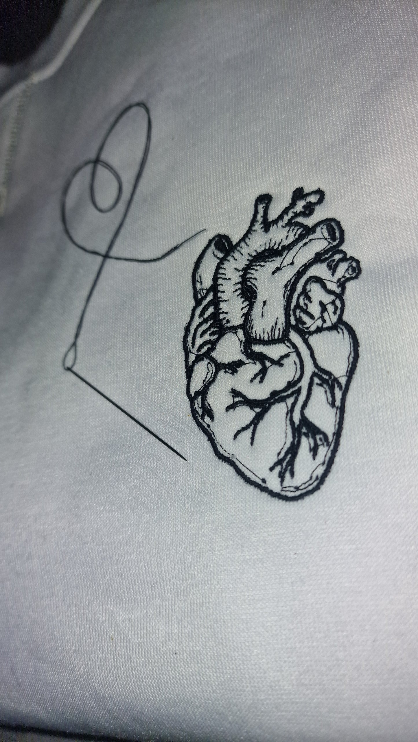 Cuore anatomico